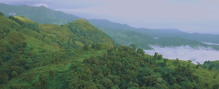 洛陽(yáng)鉬業(yè)完成對(duì)厄瓜多爾凱歌豪斯金礦100%股權(quán)的交割，布局版圖新增黃金資源